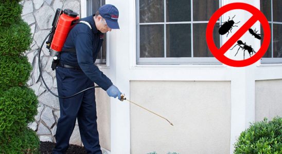 Kırkağaç Hamam Böceği İlaçlama böcek ilaçlama ve haşere kontrolü — ilaclama-tr.com